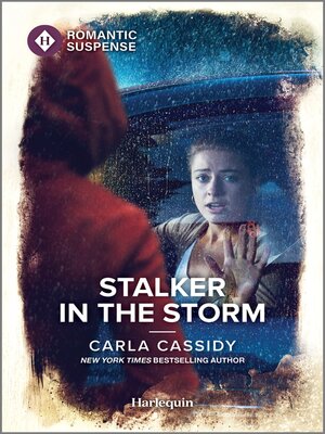 Stalker in the Storm - ebook